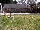 16 Sydney Street, New Berrima NSW 2577