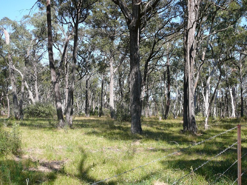 Lot Lot 1, Nathan Street, Berrima NSW 2577