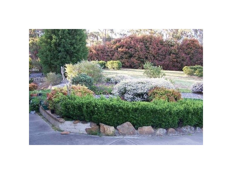 77 Cumberteen Street, Hill Top NSW 2575