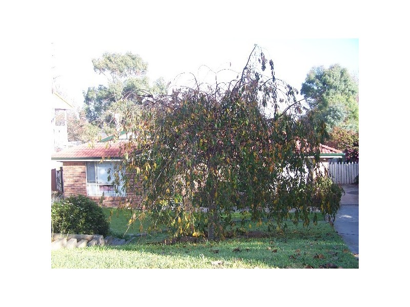 8 Wyatt Street, Moss Vale NSW 2577