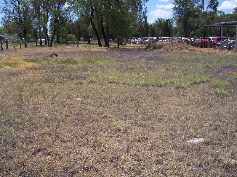 39 WAMBO STREET, Chinchilla QLD 4413