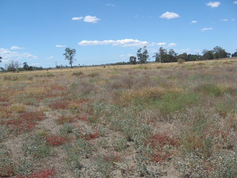 47 Beech Ct, Chinchilla QLD 4413