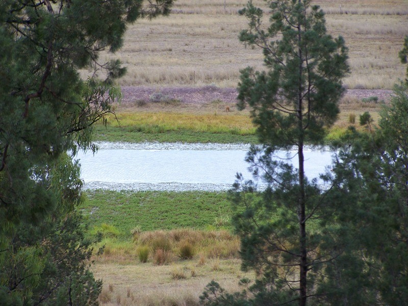 664 North Kogan Road, Kogan QLD 4406