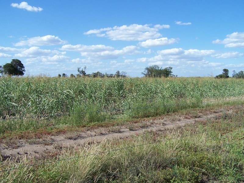 HOPELAND DISTRICT, Chinchilla QLD 4413