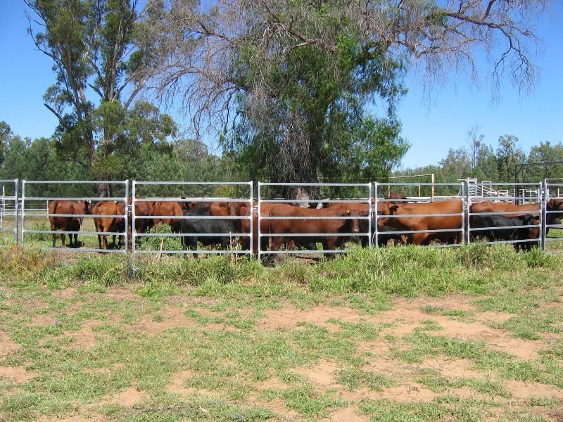 HOPELAND DISTRICT, Chinchilla QLD 4413