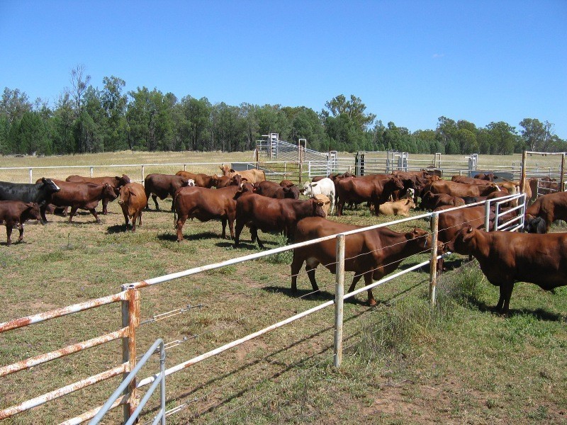 HOPELAND DISTRICT, Chinchilla QLD 4413