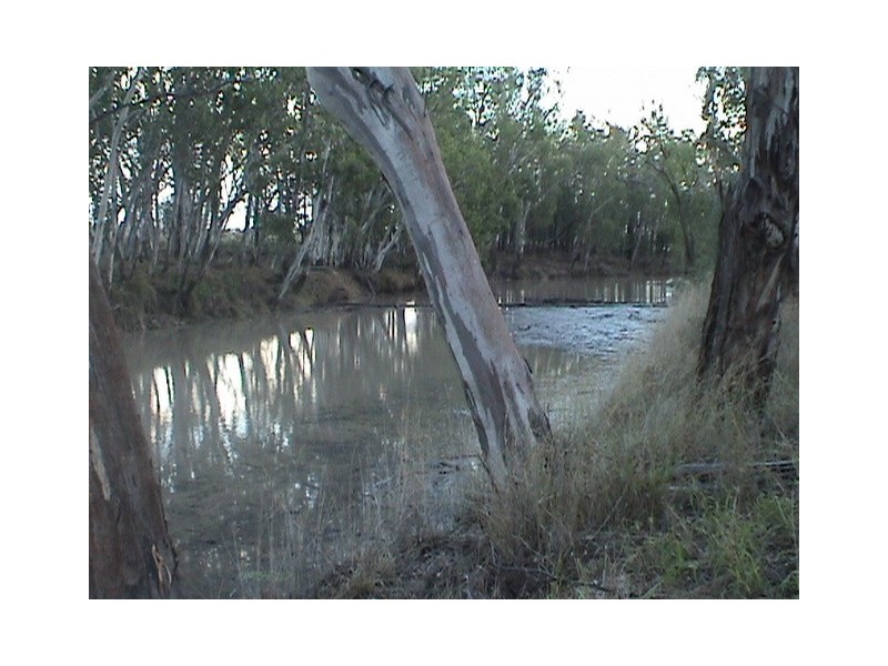 HOPELAND DISTRICT, Chinchilla QLD 4413