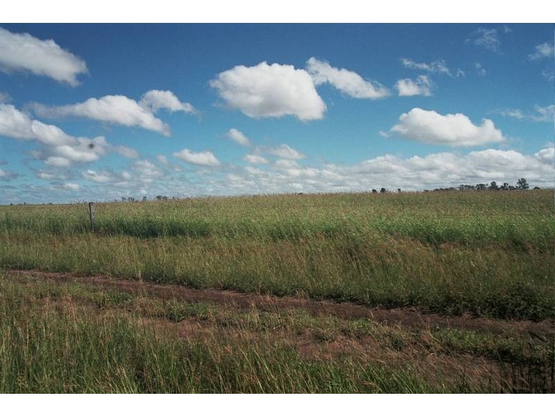 HOPELAND DISTRICT, Chinchilla QLD 4413