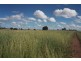 HOPELAND DISTRICT, Chinchilla QLD 4413