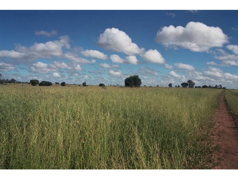 HOPELAND DISTRICT, Chinchilla QLD 4413