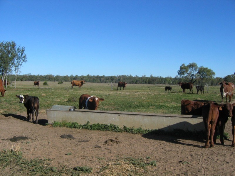 HOPELAND DISTRICT, Chinchilla QLD 4413