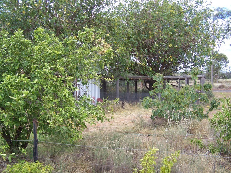157 CEMETERY ROAD, Chinchilla QLD 4413