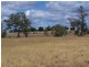 Mullers Road, Chinchilla QLD 4413