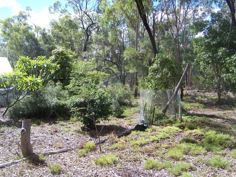 SURAT BASIN RURAL RESIDENTIAL, Chinchilla QLD 4413