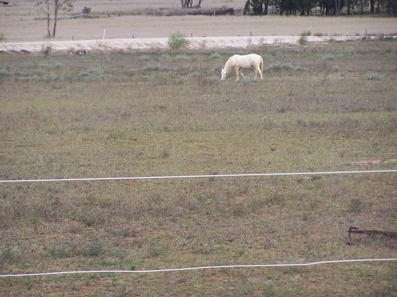 0 Burnt Bridge Road, Chinchilla QLD 4413