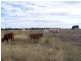 0 Goombi Fairymeadow Road, Chinchilla QLD 4413