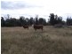 0 Goombi Fairymeadow Road, Chinchilla QLD 4413