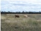 0 Goombi Fairymeadow Road, Chinchilla QLD 4413