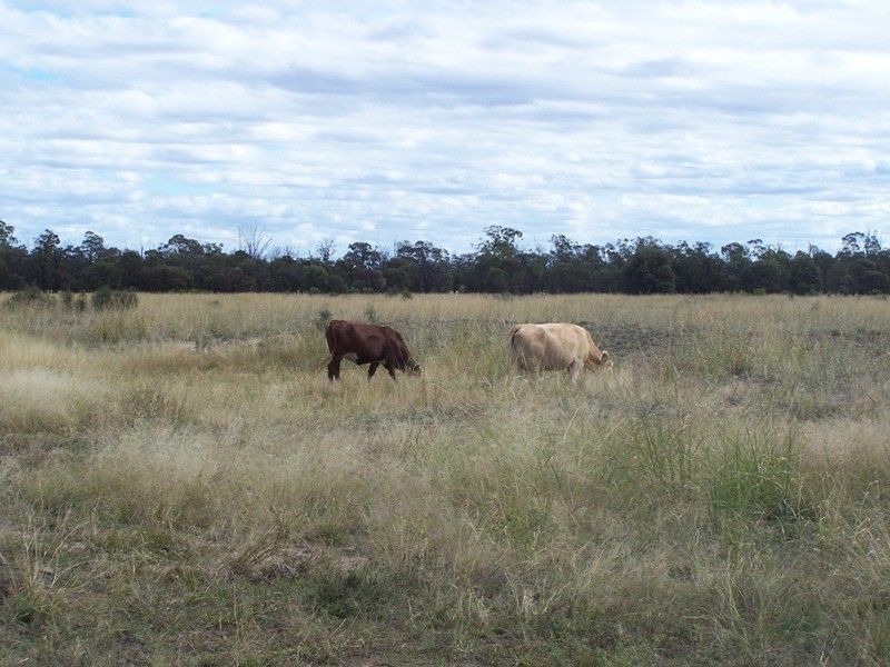 0 Goombi Fairymeadow Road, Chinchilla QLD 4413