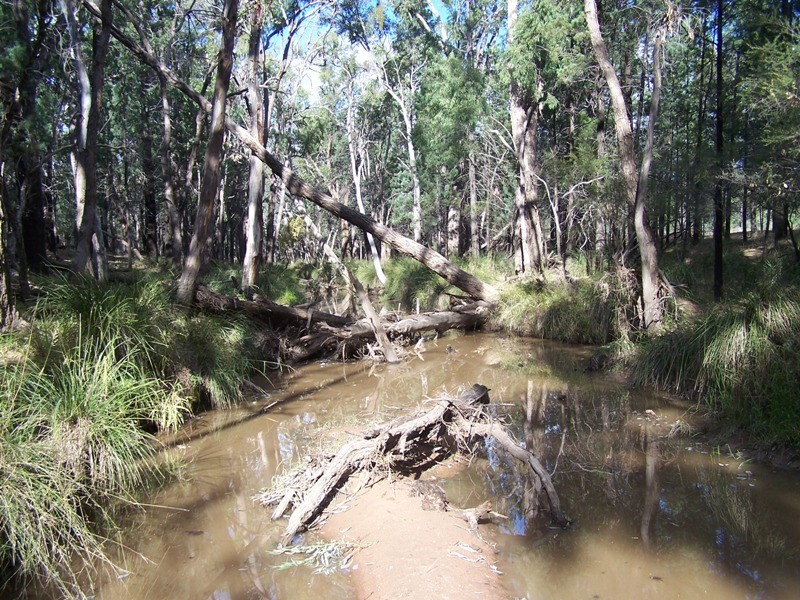 CHINCHILLA – TARA RD, Chinchilla QLD 4413