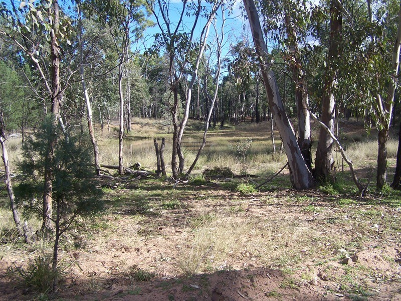CHINCHILLA – TARA RD, Chinchilla QLD 4413