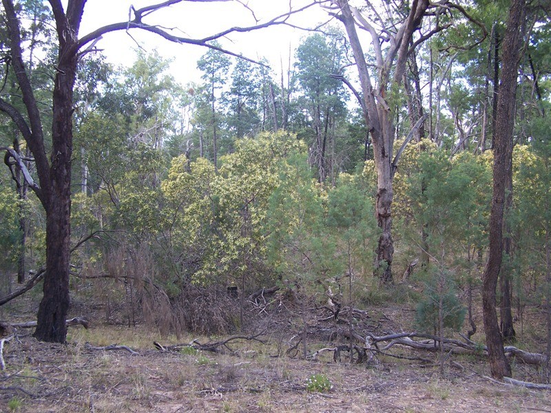 CHINCHILLA – TARA RD, Chinchilla QLD 4413