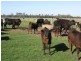 RENNICKS ROAD, Chinchilla QLD 4413