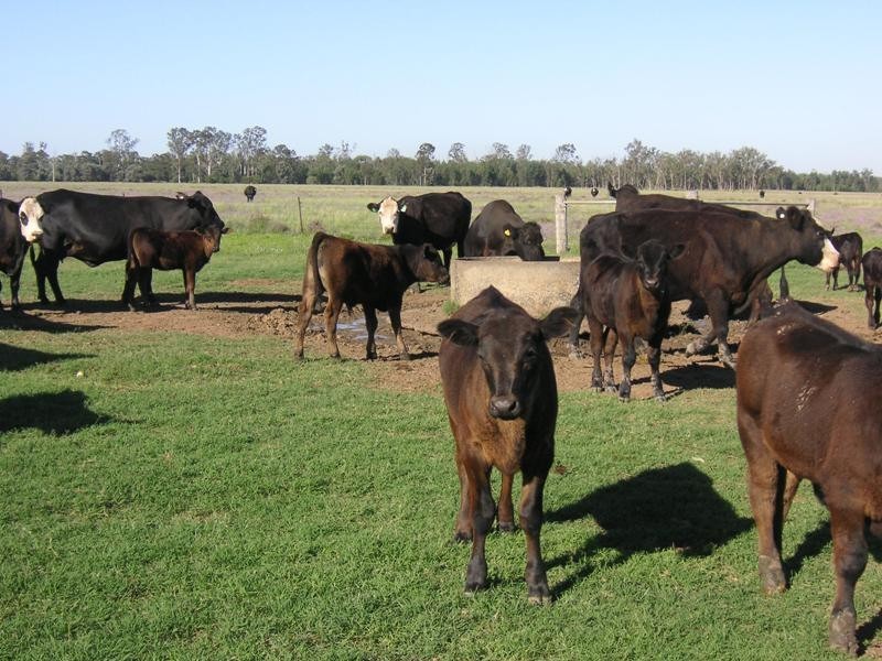 RENNICKS ROAD, Chinchilla QLD 4413