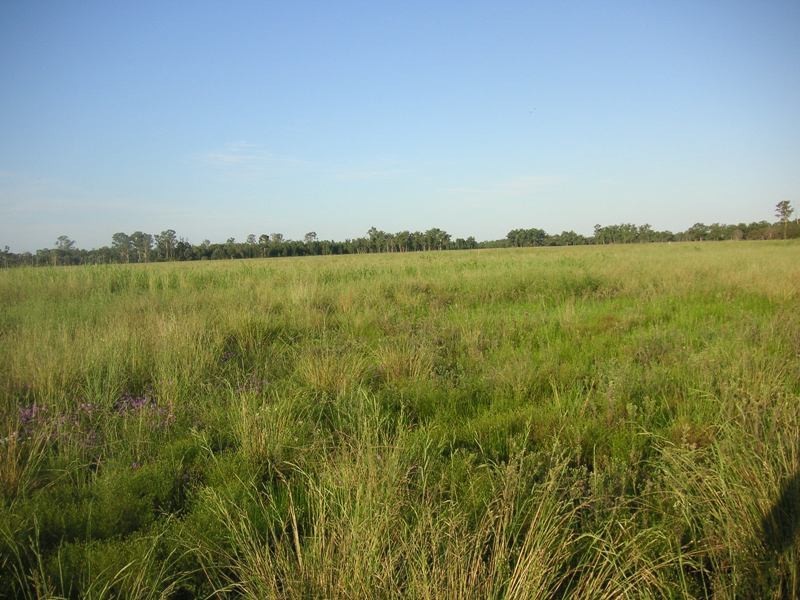 RENNICKS ROAD, Chinchilla QLD 4413