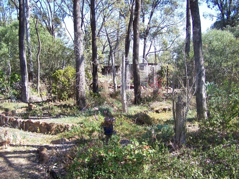 0 CEMETERY ROAD, Chinchilla QLD 4413