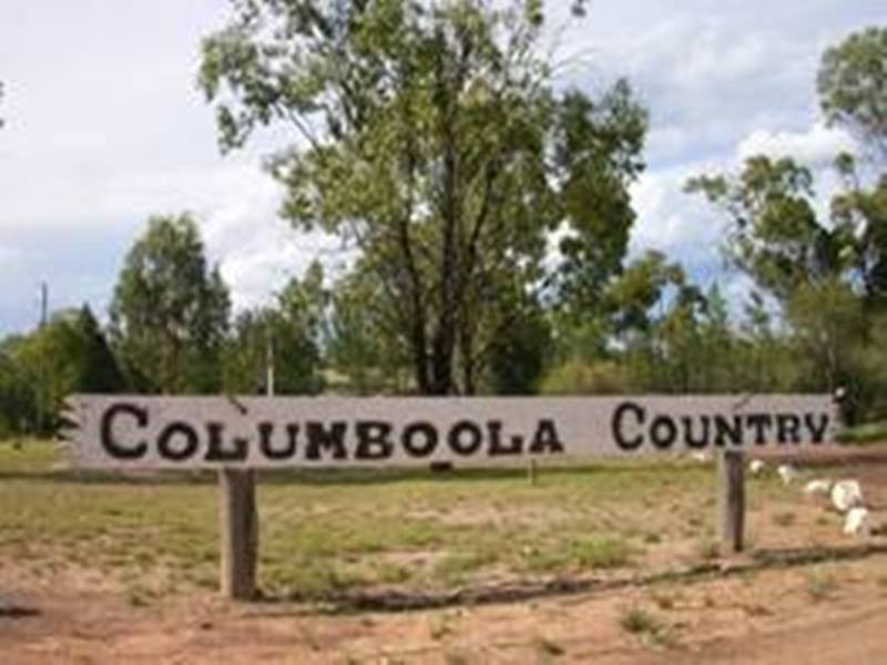 Ryalls Road, Miles QLD 4415