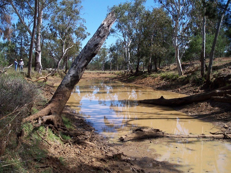 574 Windemere Road, Glenmorgan QLD 4423