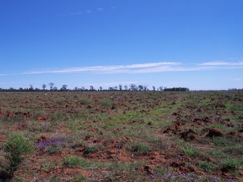 574 Windemere Road, Glenmorgan QLD 4423