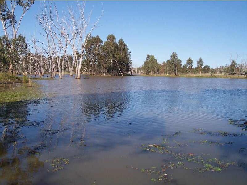 574 Windemere Road, Glenmorgan QLD 4423