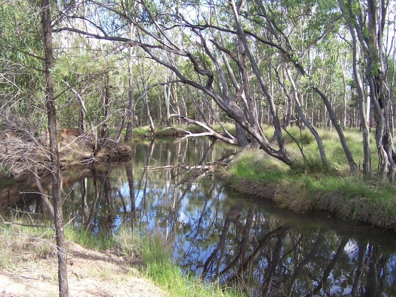 402 Surcingle Road, Chinchilla QLD 4413