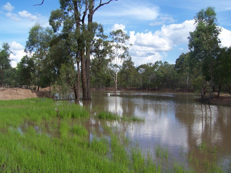 402 Surcingle Road, Chinchilla QLD 4413