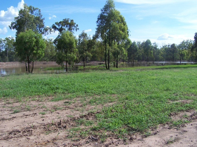 402 Surcingle Road, Chinchilla QLD 4413