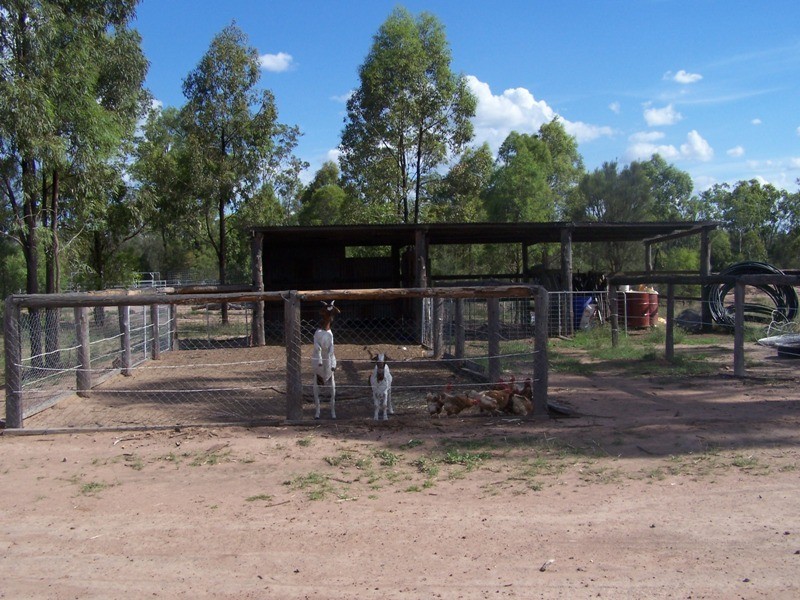 402 Surcingle Road, Chinchilla QLD 4413