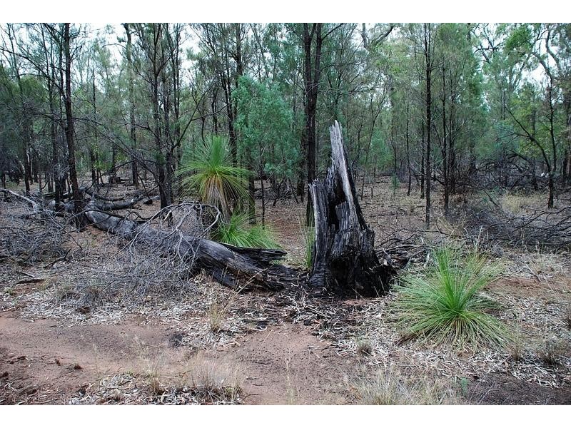 0 North Kogan Road, Kogan QLD 4406