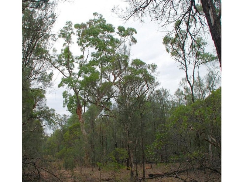 0 North Kogan Road, Kogan QLD 4406