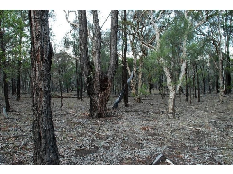 0 North Kogan Road, Kogan QLD 4406