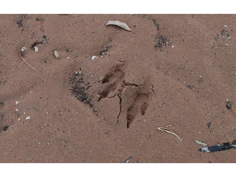 0 North Kogan Road, Kogan QLD 4406