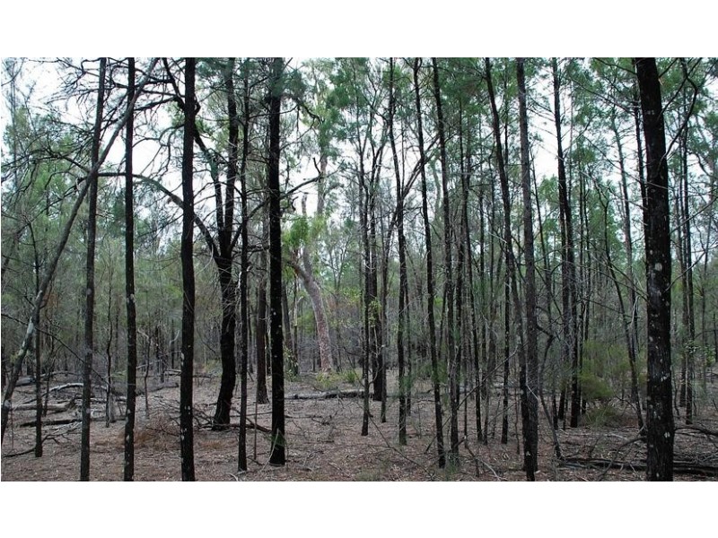 0 North Kogan Road, Kogan QLD 4406