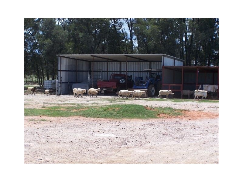 543 G TENNYSONS ROAD, Chinchilla QLD 4413