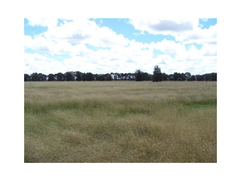 543 G TENNYSONS ROAD, Chinchilla QLD 4413