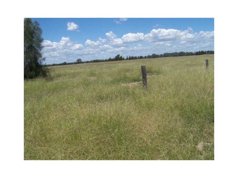 543 G TENNYSONS ROAD, Chinchilla QLD 4413