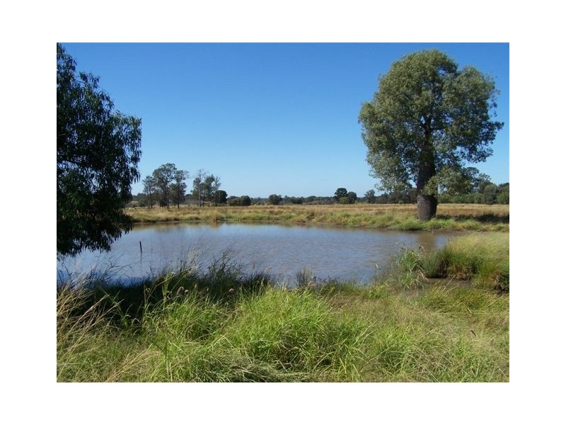 955 Red Hill Road, Chinchilla QLD 4413