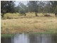 955 Red Hill Road, Chinchilla QLD 4413