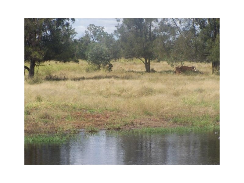 955 Red Hill Road, Chinchilla QLD 4413