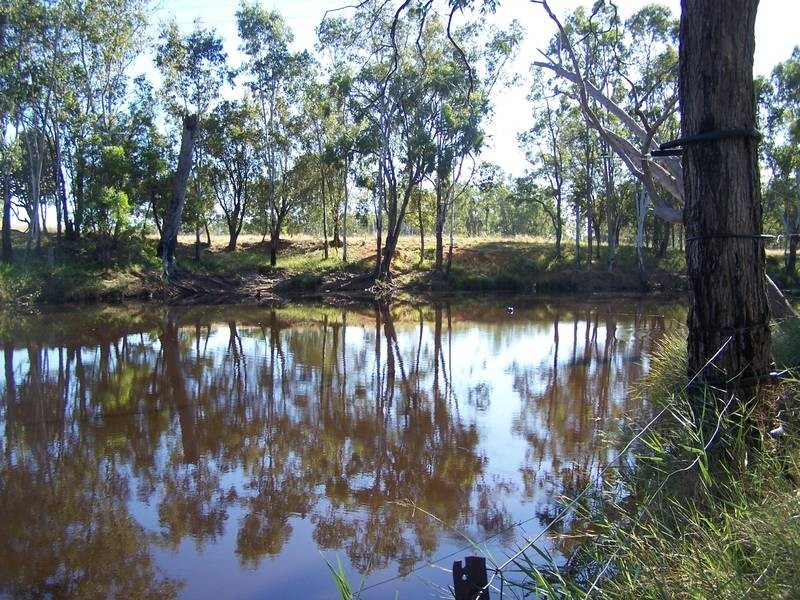 1607 Nudley School Road, Chinchilla QLD 4413